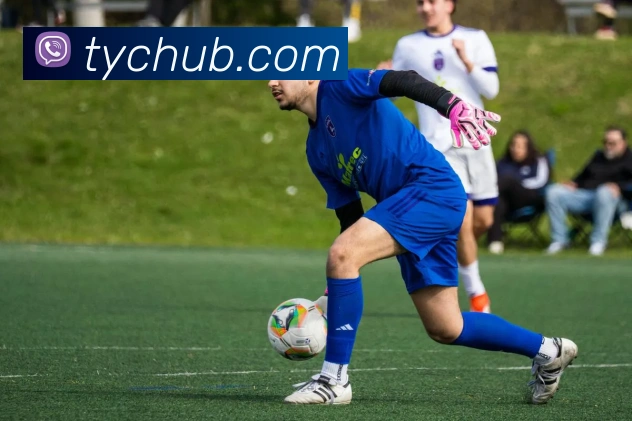 App Interface Preview